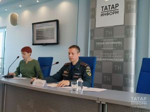 Пожарные в Татарстане в 2024 году 24 раза выезжали тушить траву и камыш