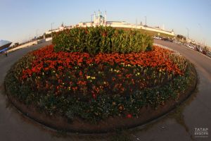 На цветочное оформление и озеленение Казани направили 31 миллион рублей